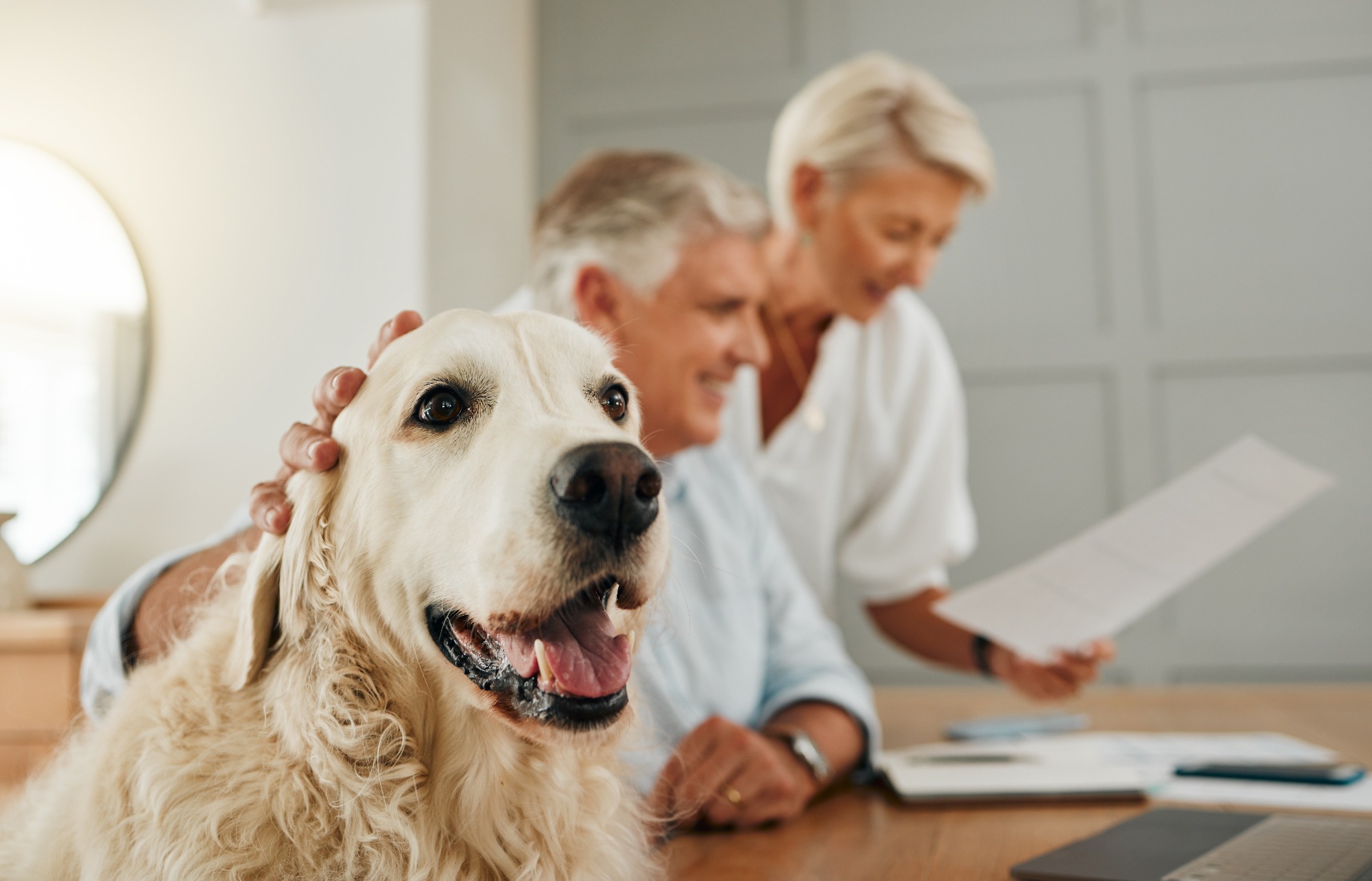 banner of Is Pet Insurance Worth the Cost?