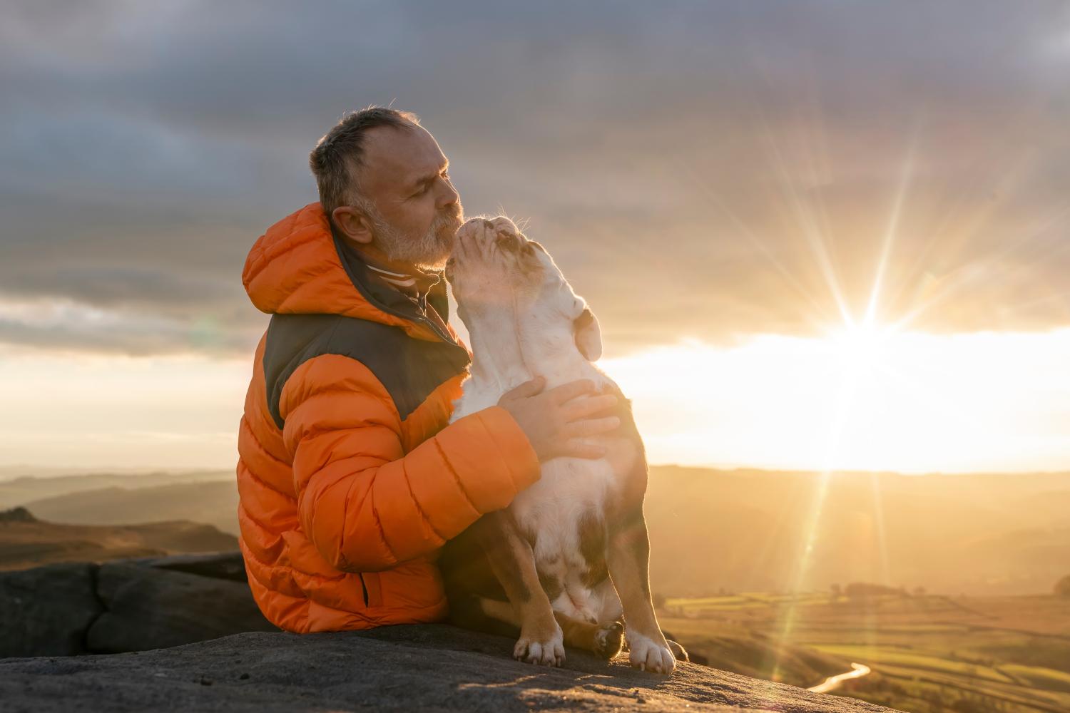 banner of The Pawfect Guide to Pet Insurance