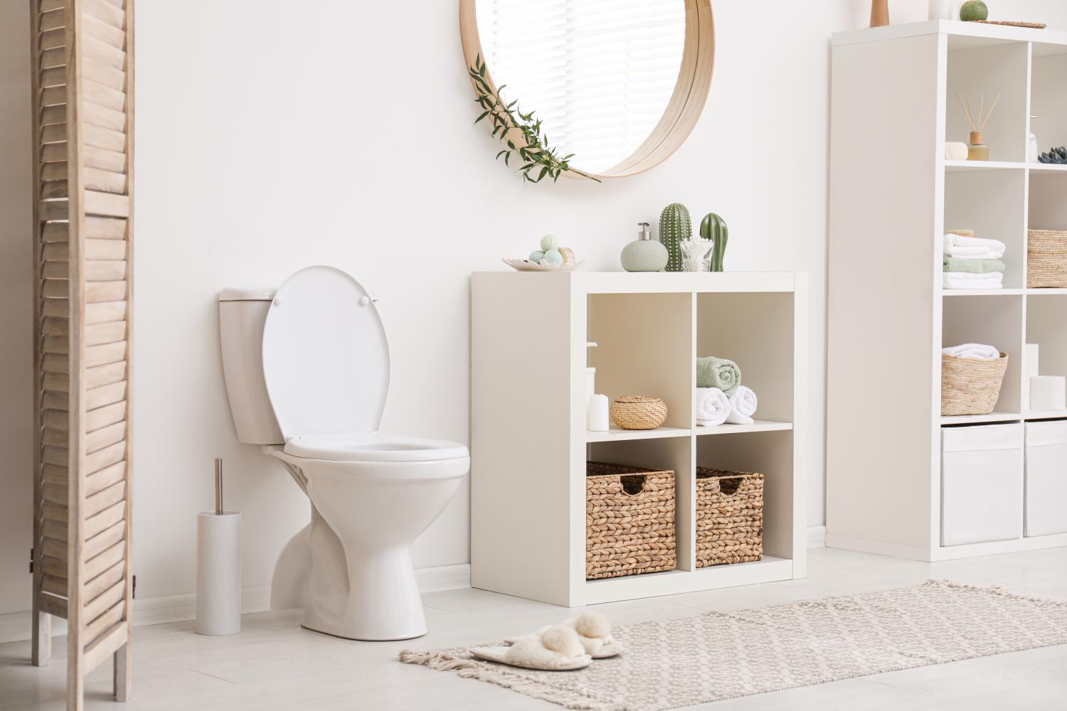 banner of The Best Bidets and Accessories for your Bathroom Oasis