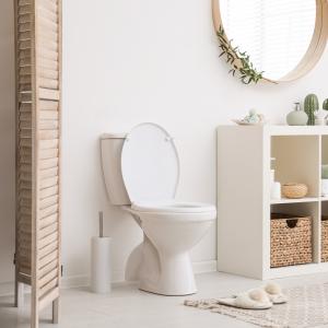 thumbnail of The Best Bidets and Accessories for your Bathroom Oasis